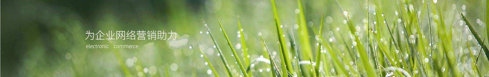ڿƴ԰ó޹˾